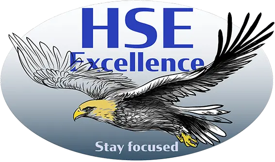 HSE Excellence